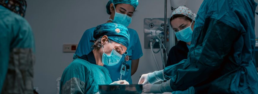 husien-bisky-ZuIucrhwHvA-unsplash (1)